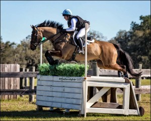 PC: Joan Davis/ Flatlandsfoto