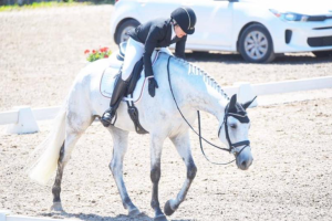 Big pats for Cooley On Show after a great test at Bromont PC: JJ Sillman